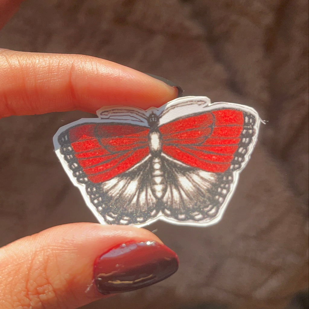 Red & Black Vintage Butterfly Sticker